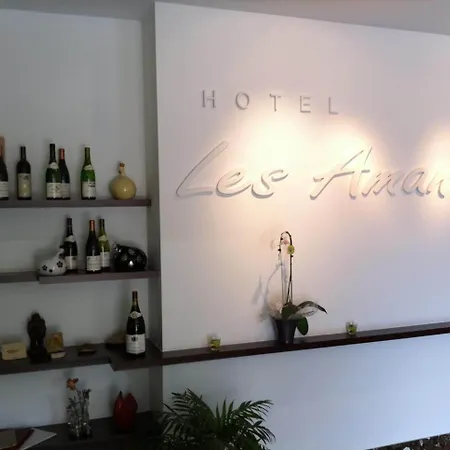 Hotel Les Amandiers-3